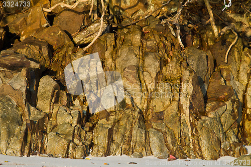 Image of Tock at the beach in thailand