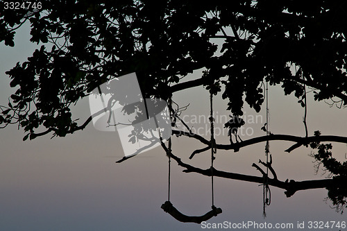 Image of Rudimentary swing at the beach in thailand