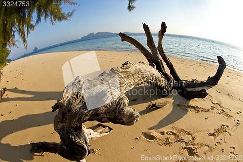 Image of At the beach in thailand