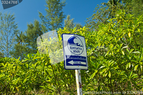 Image of Tsunami evacuation sign 