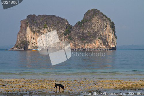 Image of Beach in Krabi Thailand