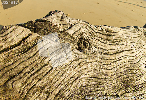 Image of At the beach in thailand