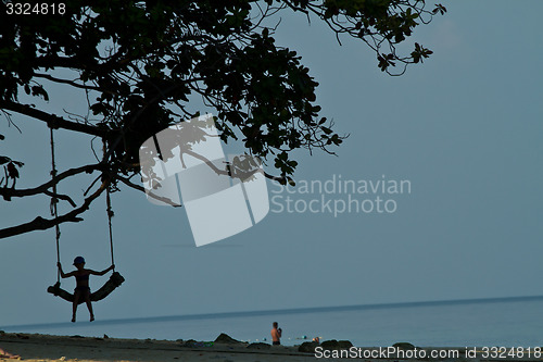 Image of Rudimentary swing at the beach in thailand