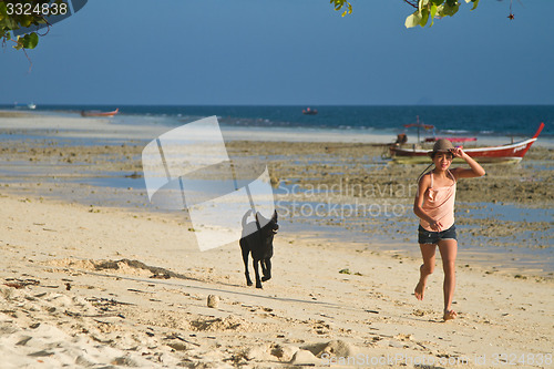 Image of Dog at the beach