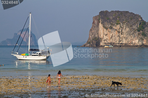 Image of Beach in Krabi Thailand