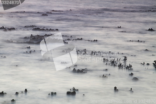 Image of Beach in Krabi Thailand