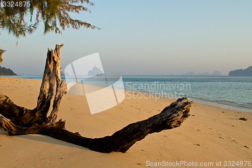 Image of At the beach in thailand