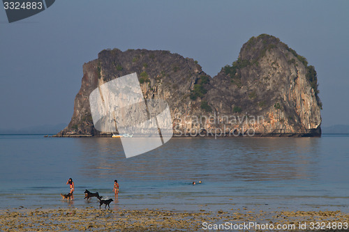 Image of Beach in Krabi Thailand