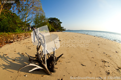 Image of At the beach in thailand