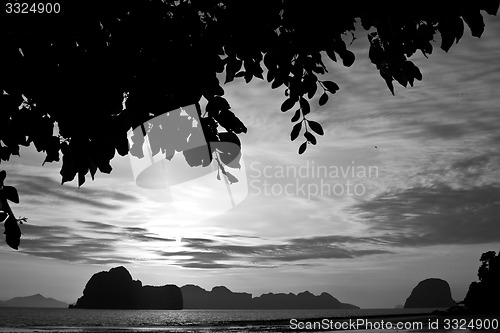 Image of Beach in Krabi Thailand