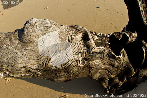 Image of At the beach in thailand