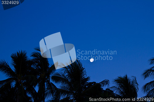 Image of Beach in Krabi Thailand