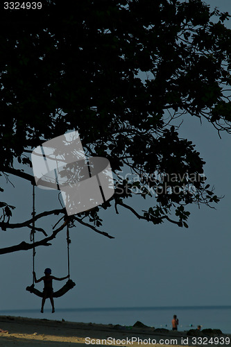 Image of Rudimentary swing at the beach in thailand