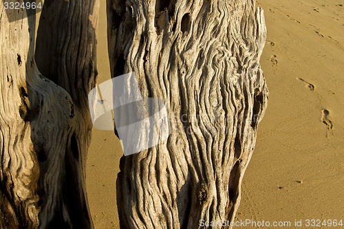 Image of At the beach in thailand