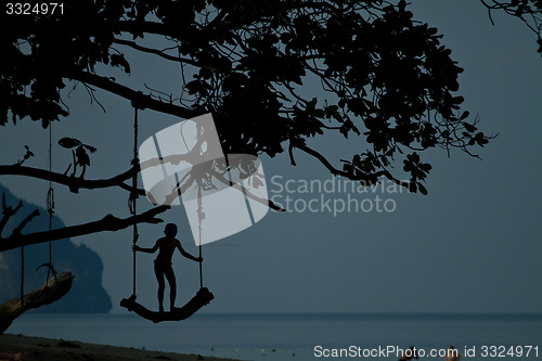 Image of Rudimentary swing at the beach in thailand