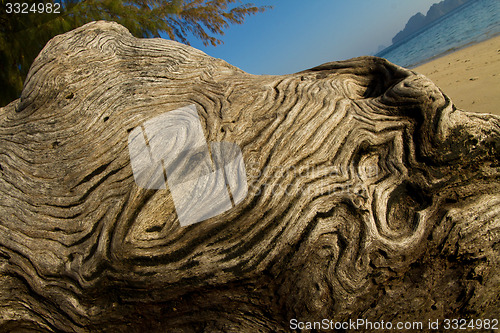 Image of At the beach in thailand