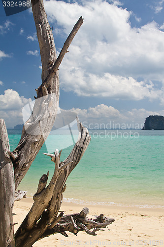 Image of At the beach in thailand