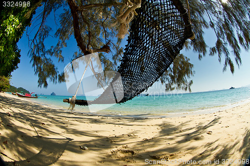 Image of hammock at the beach in thailand