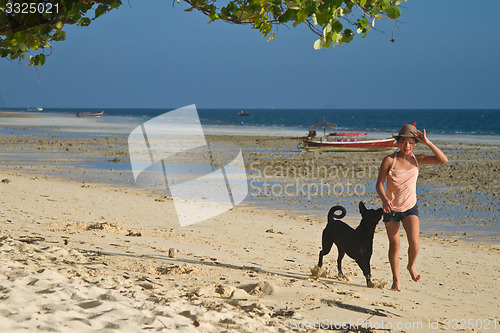 Image of Dog at the beach