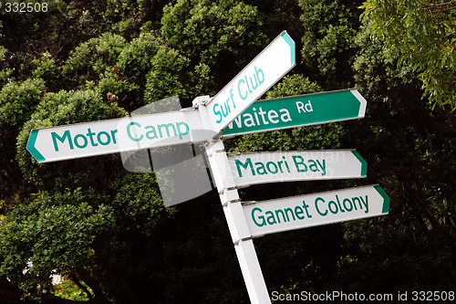 Image of New Zealand street signs.