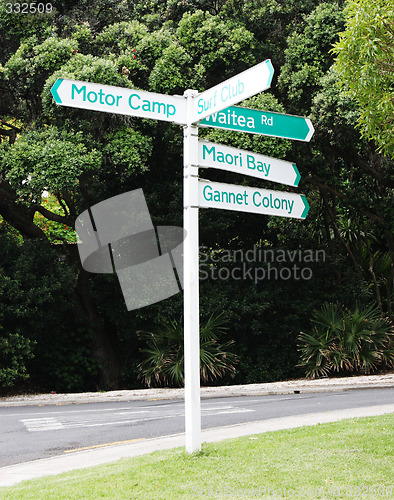 Image of New Zealand street signs.
