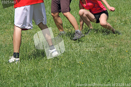 Image of Playing on grass_1