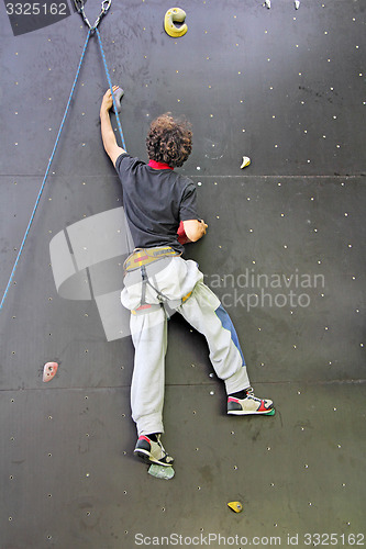 Image of Climbing the wall_1