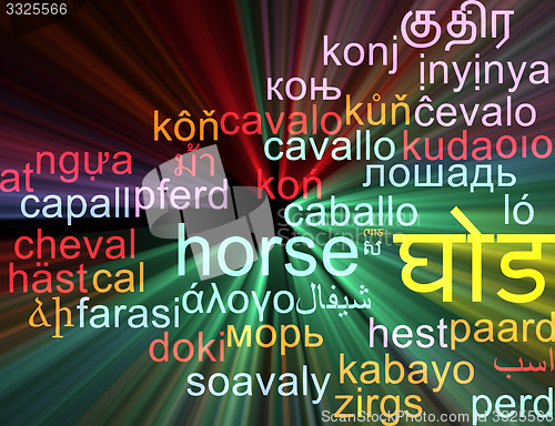 Image of Horse multilanguage wordcloud background concept glowing