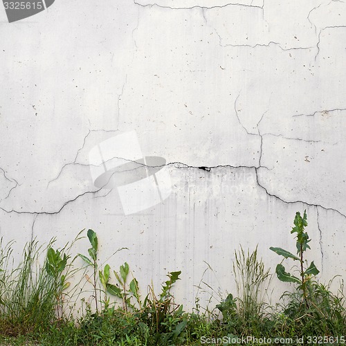 Image of grunge wall and green grass background