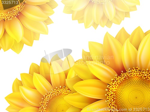 Image of Frame with flower, nuts and Mushrooms. EPS 10