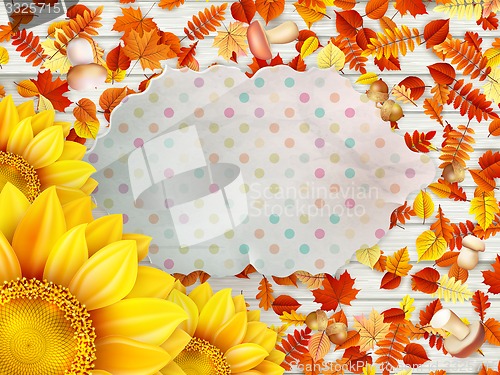 Image of Frame with flower, nuts and Mushrooms. EPS 10