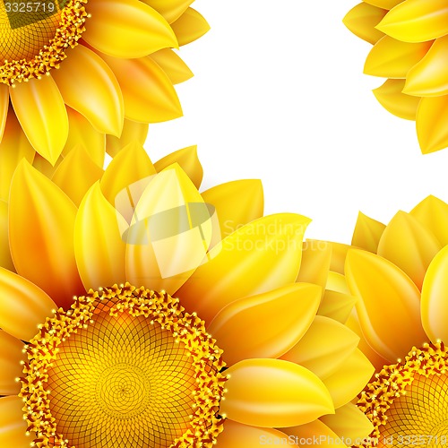 Image of Frame with flower, nuts and Mushrooms. EPS 10
