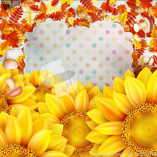 Image of Frame with flower, nuts and Mushrooms. EPS 10