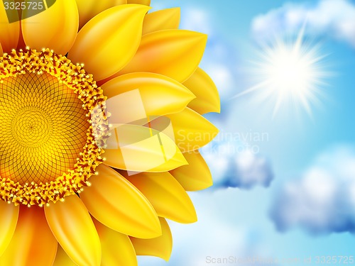 Image of Beautiful sunflower against blue sky. EPS 10