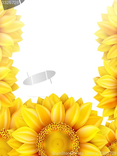 Image of Frame with flower, nuts and Mushrooms. EPS 10