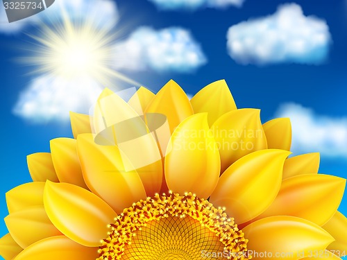 Image of Sunflower against blue sky. EPS 10