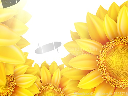 Image of Frame with flower, nuts and Mushrooms. EPS 10