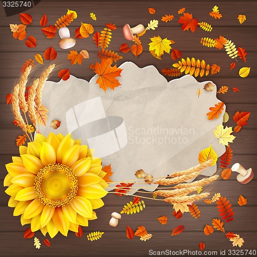 Image of Colorful leaves background. EPS 10