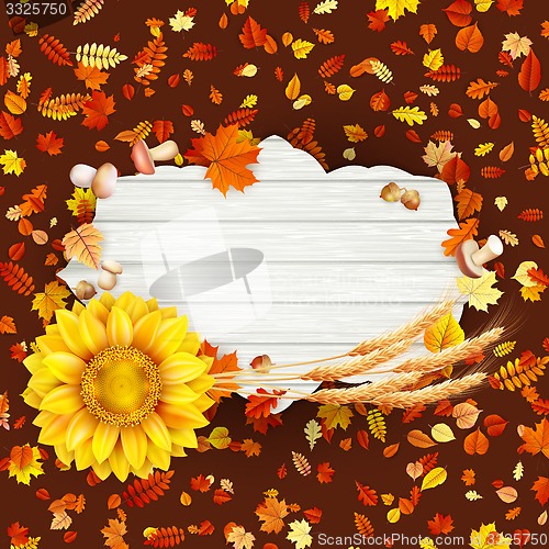 Image of Colorful leaves background. EPS 10