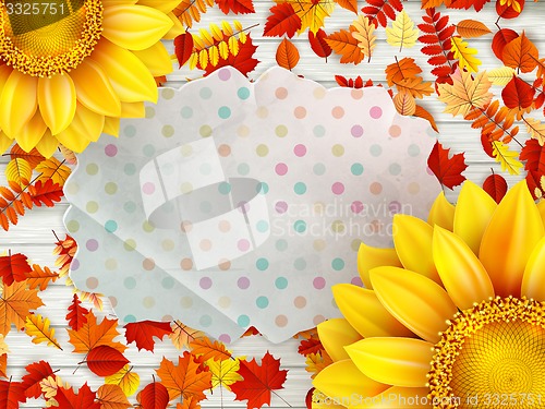 Image of Frame with flower, nuts and Mushrooms. EPS 10