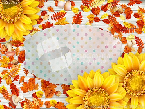 Image of Frame with flower, nuts and Mushrooms. EPS 10