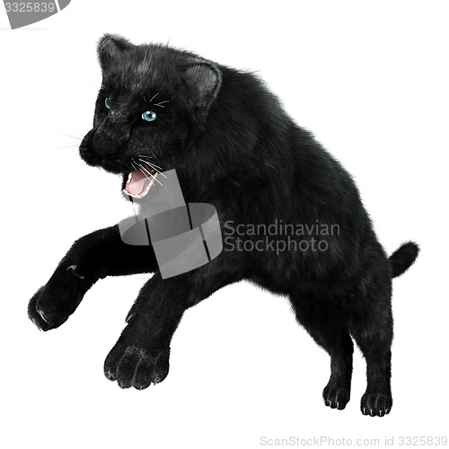 Image of Black Panther