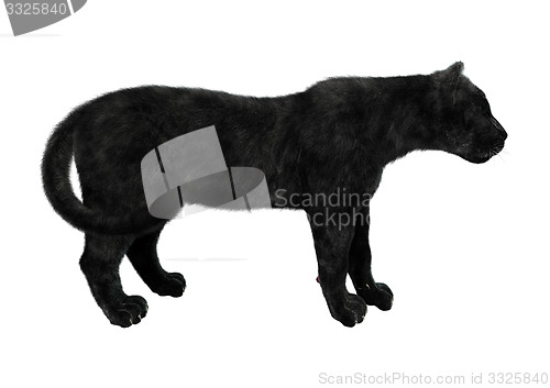 Image of Black Panther