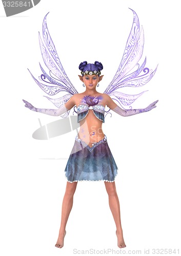 Image of Purple Fairy
