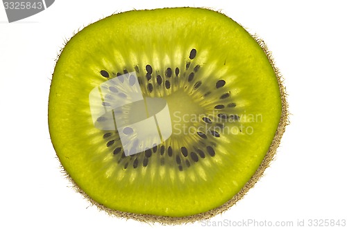 Image of Slice of kiwi fruit
