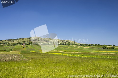 Image of Rural landscape in spring