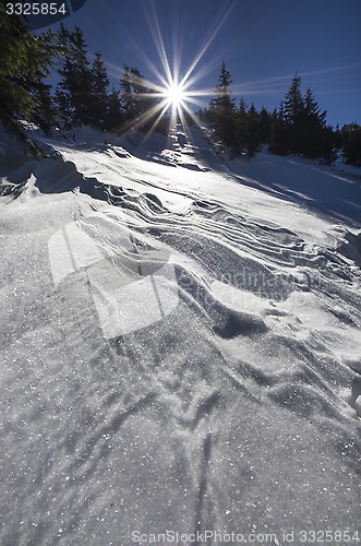 Image of Beautiful winter day