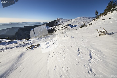 Image of Winter scene