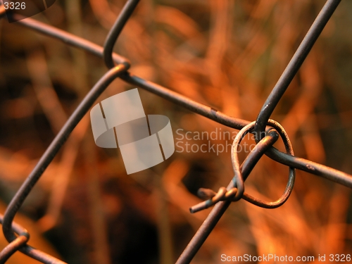 Image of rusted fence