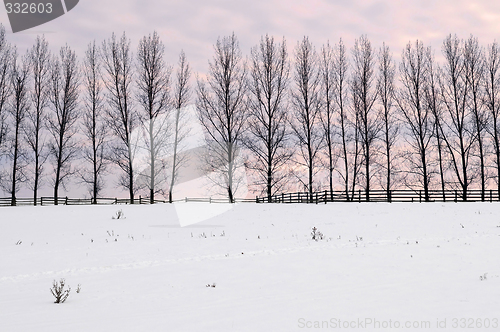 Image of Rural winter landscape